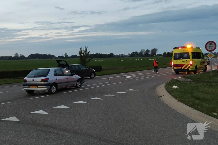 Persoon en hond gewond bij botsing op kruising