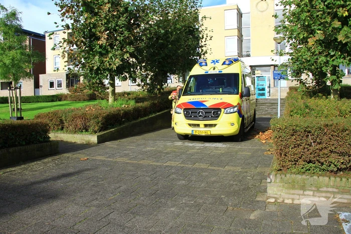 Onderzoek naar piepende koolmonoxide melder