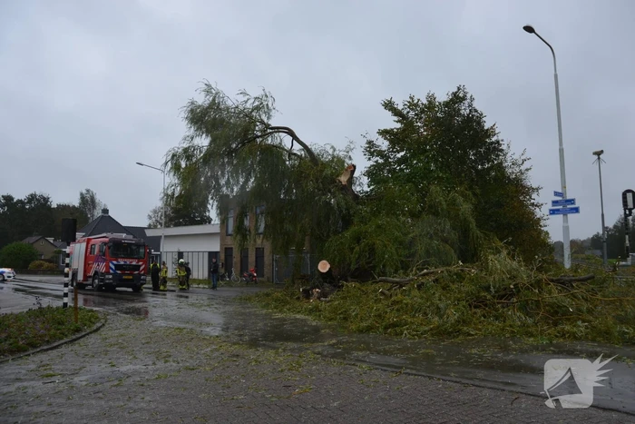 Fietser gewond na omvallen boom