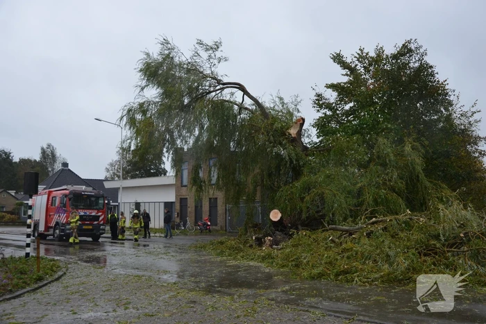 Fietser gewond na omvallen boom
