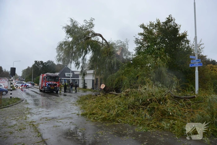 Fietser gewond na omvallen boom