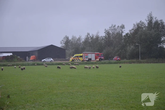 Brand in loods snel onder controle