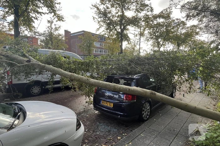 Auto beschadigd door omgevallen boom