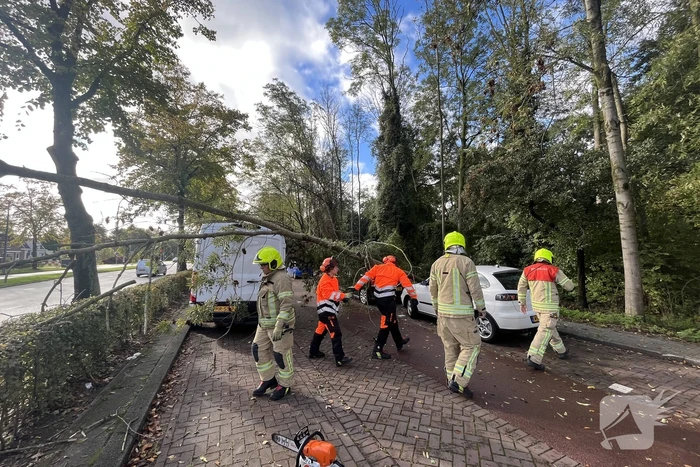 Auto beschadigd door omgevallen boom