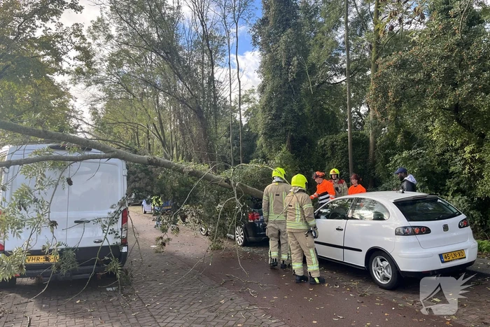 Auto beschadigd door omgevallen boom