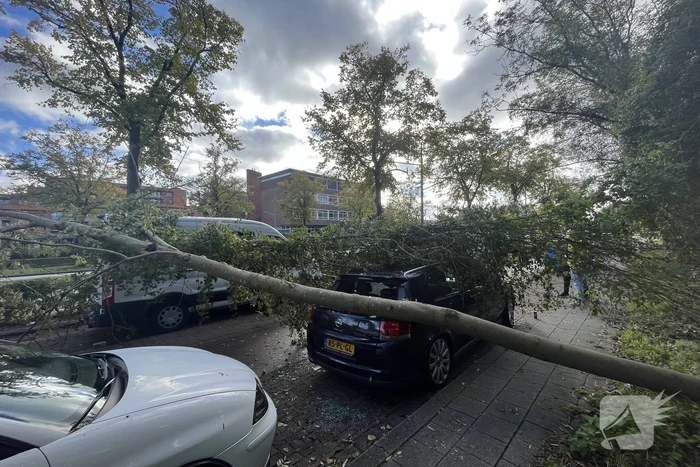 Auto beschadigd door omgevallen boom