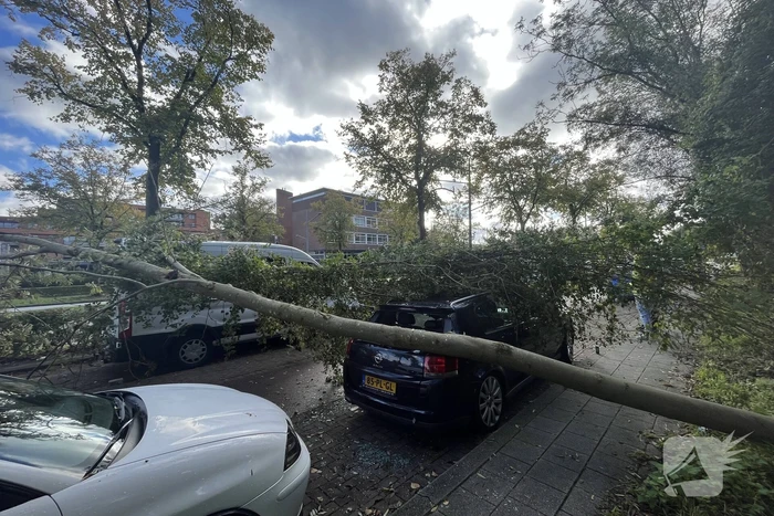 Auto beschadigd door omgevallen boom