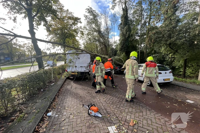 Auto beschadigd door omgevallen boom