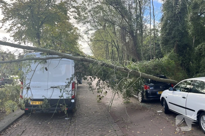 Auto beschadigd door omgevallen boom