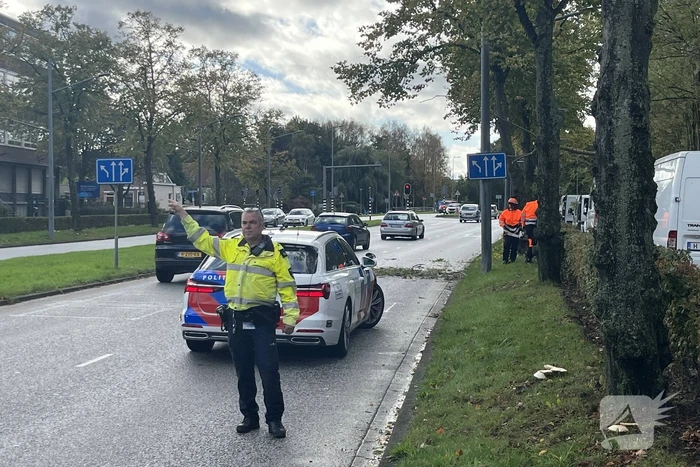 Auto beschadigd door omgevallen boom