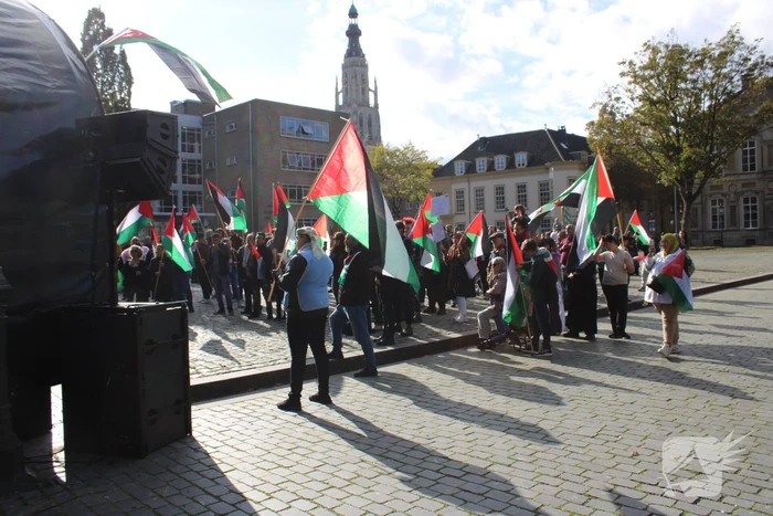 Pro Palestina demonstratie trekt veel mensen