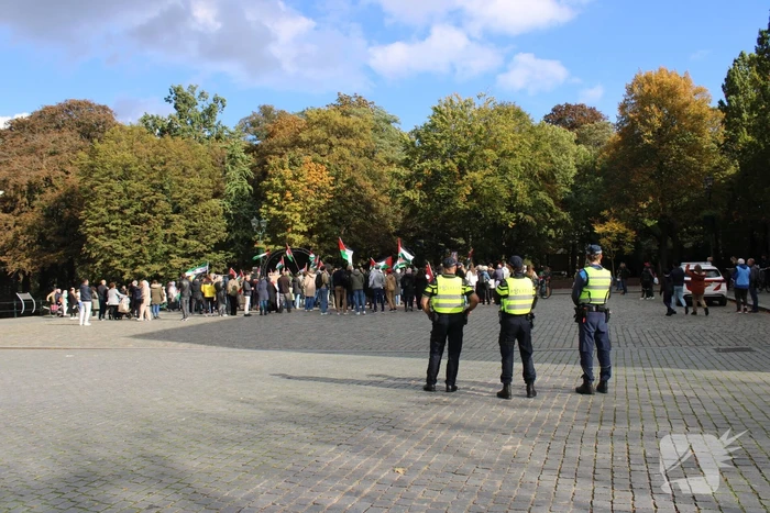 Pro Palestina demonstratie trekt veel mensen