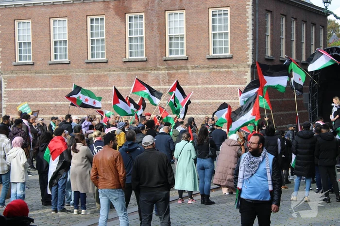Pro Palestina demonstratie trekt veel mensen
