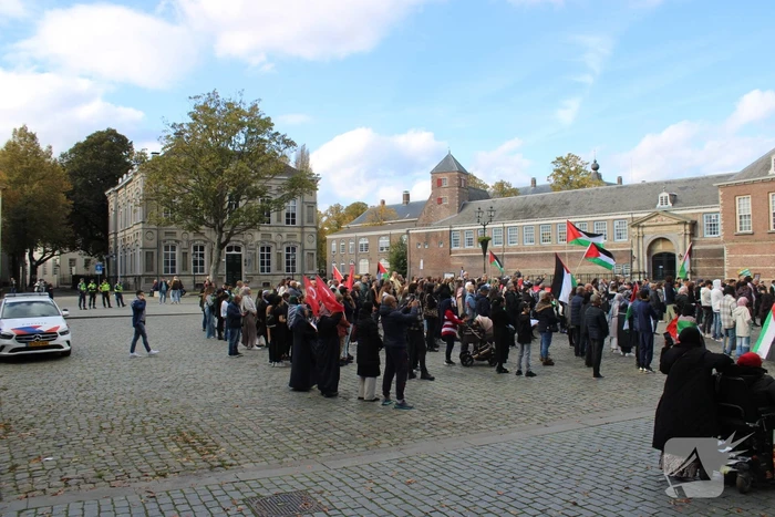 Pro Palestina demonstratie trekt veel mensen