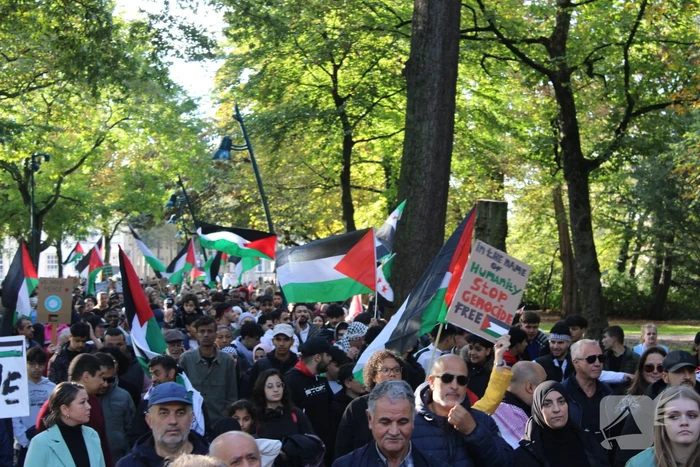 Pro Palestina demonstratie trekt veel mensen