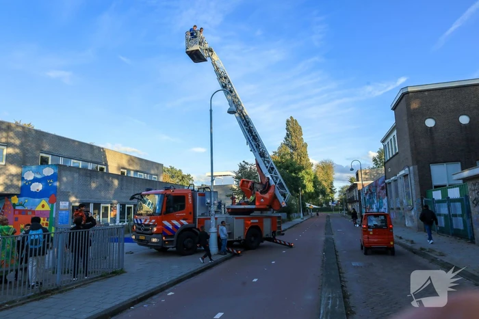 Kinderen klimmen op dak van school en durven er niet meer vanaf