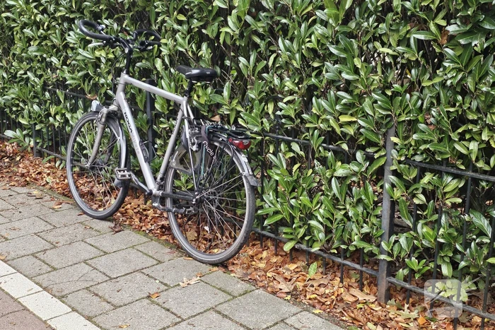 Fietser gewond na harde val