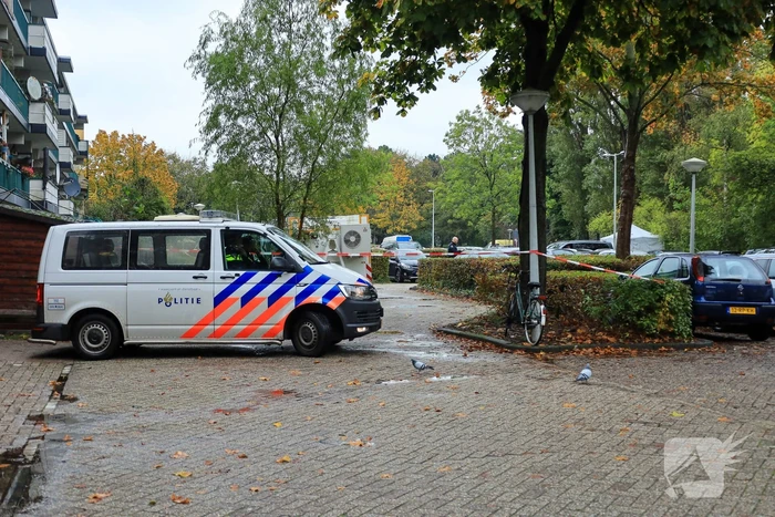 Onderzoek naar fatale steekpartij