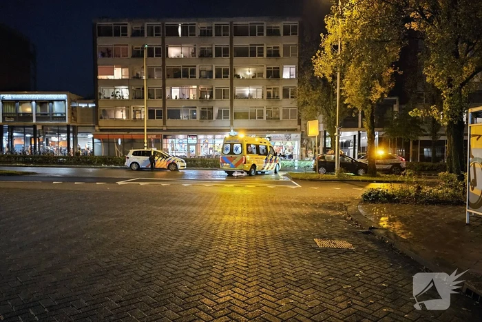 Bestuurder gewond bij botsing tegen boom
