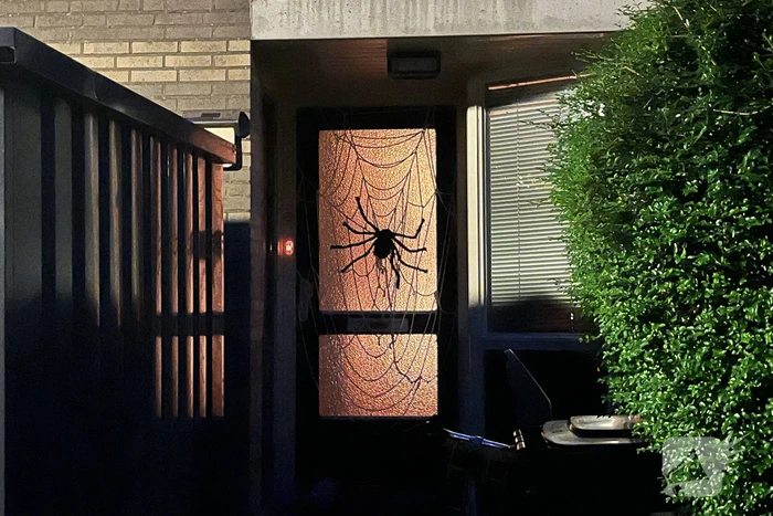 Veel mensen de straat op voor enge Halloweentocht
