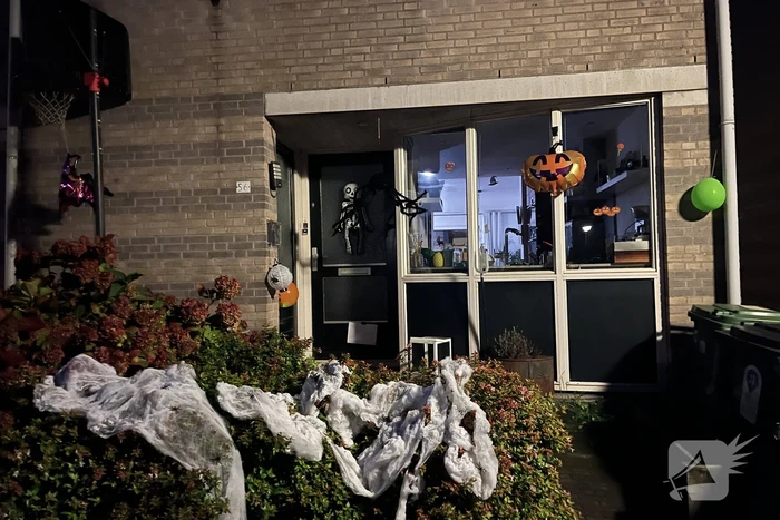 Veel mensen de straat op voor enge Halloweentocht