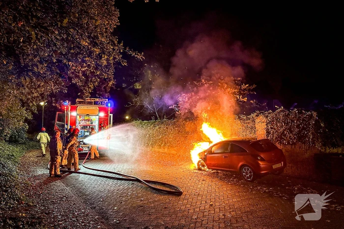brand boskant handel