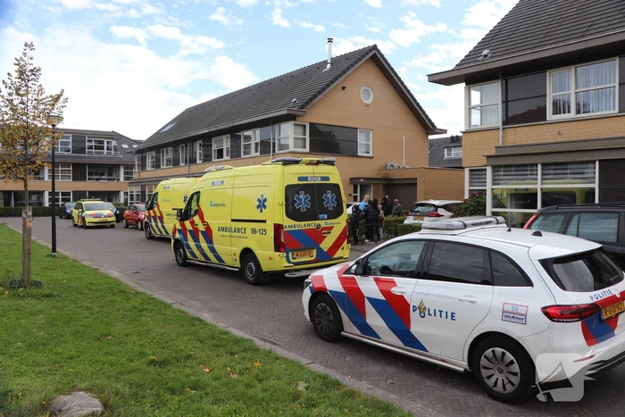nieuws transformatorhof apeldoorn