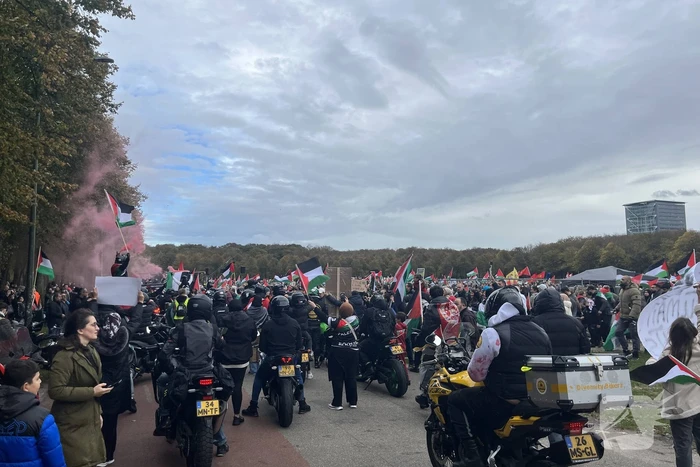 Grote opkomst pro-palestina demonstratie op het Malieveld