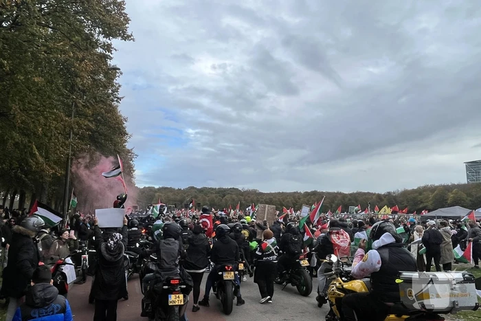 Grote opkomst pro-palestina demonstratie op het Malieveld