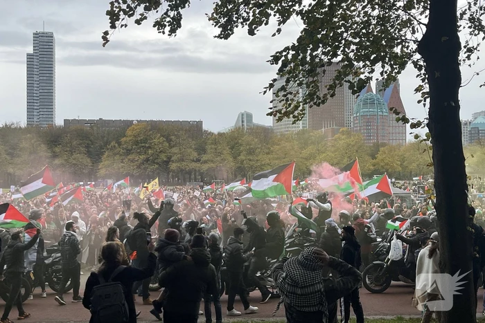 Grote opkomst pro-palestina demonstratie op het Malieveld
