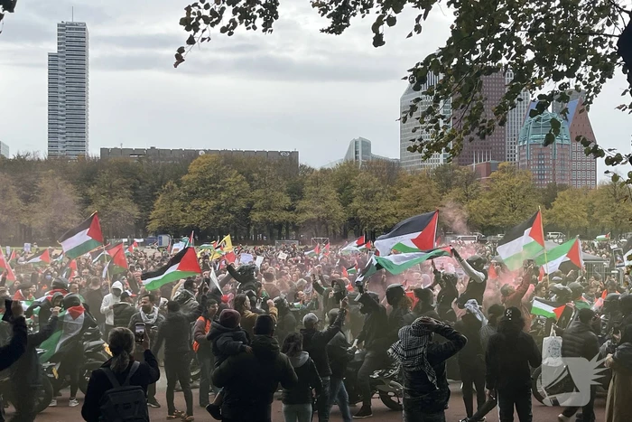 Grote opkomst pro-palestina demonstratie op het Malieveld