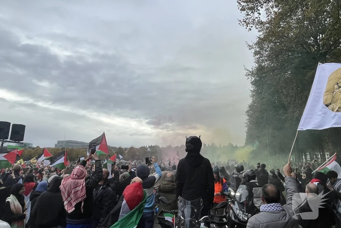 Grote opkomst pro-palestina demonstratie op het Malieveld