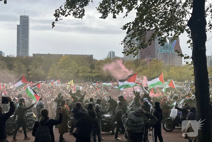 Grote opkomst pro-palestina demonstratie op het Malieveld
