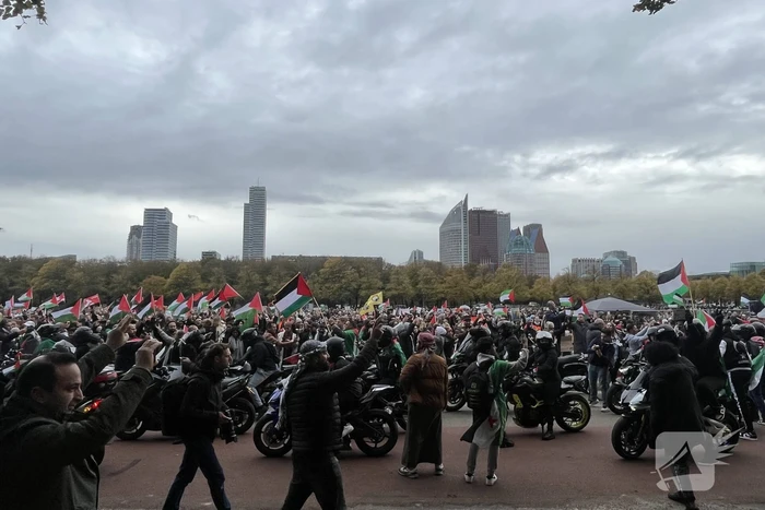 Grote opkomst pro-palestina demonstratie op het Malieveld