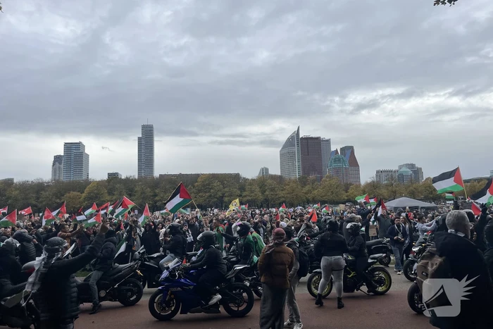 Grote opkomst pro-palestina demonstratie op het Malieveld