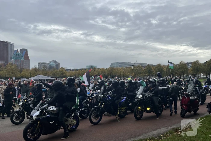 Grote opkomst pro-palestina demonstratie op het Malieveld