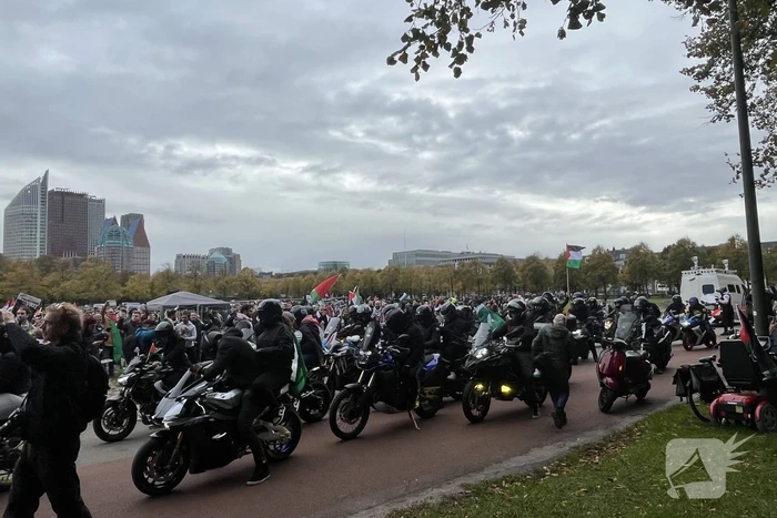 Grote opkomst pro-palestina demonstratie op het Malieveld