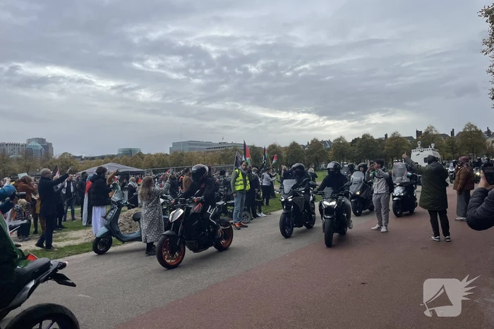 Grote opkomst pro-palestina demonstratie op het Malieveld