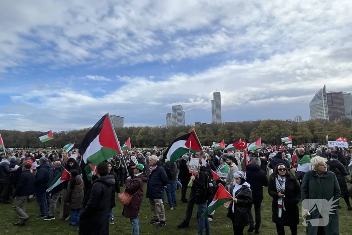 Grote opkomst pro-palestina demonstratie op het Malieveld
