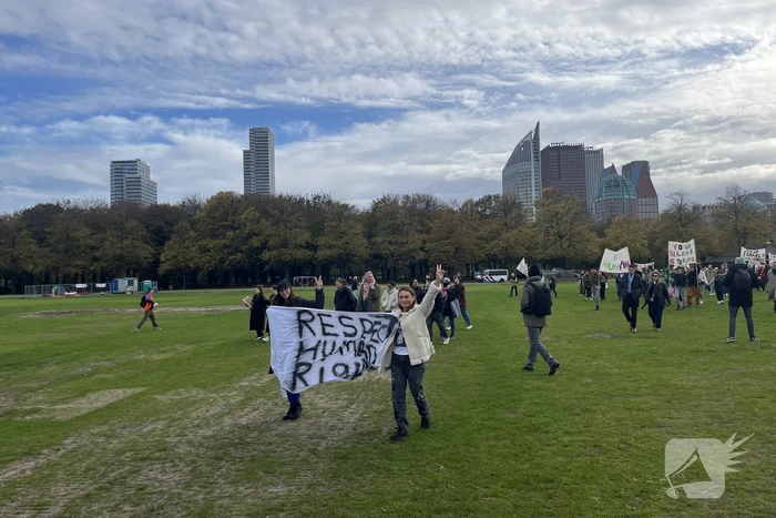 Grote opkomst pro-palestina demonstratie op het Malieveld