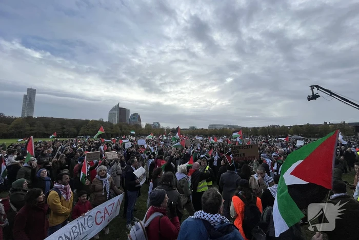 Grote opkomst pro-palestina demonstratie op het Malieveld