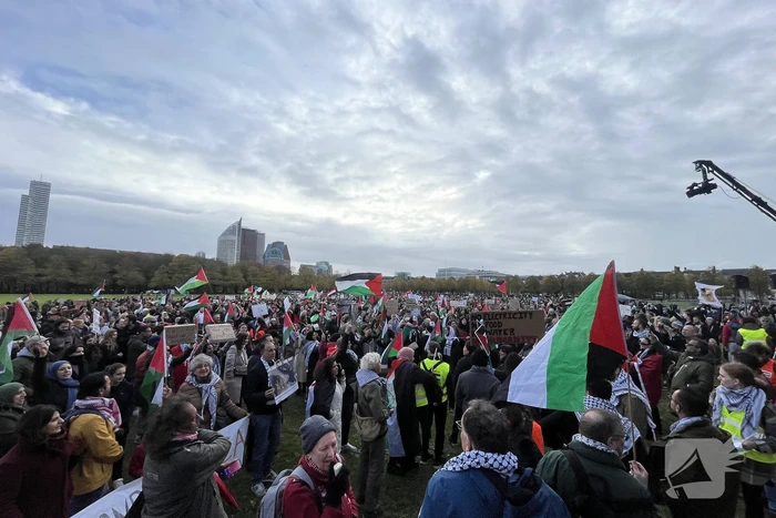 Grote opkomst pro-palestina demonstratie op het Malieveld
