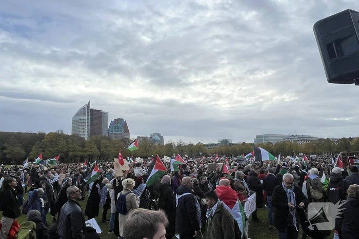 Grote opkomst pro-palestina demonstratie op het Malieveld
