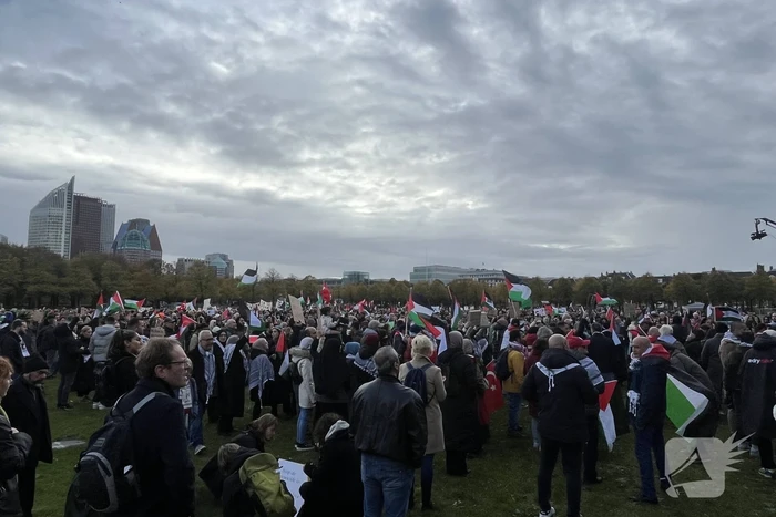 Grote opkomst pro-palestina demonstratie op het Malieveld