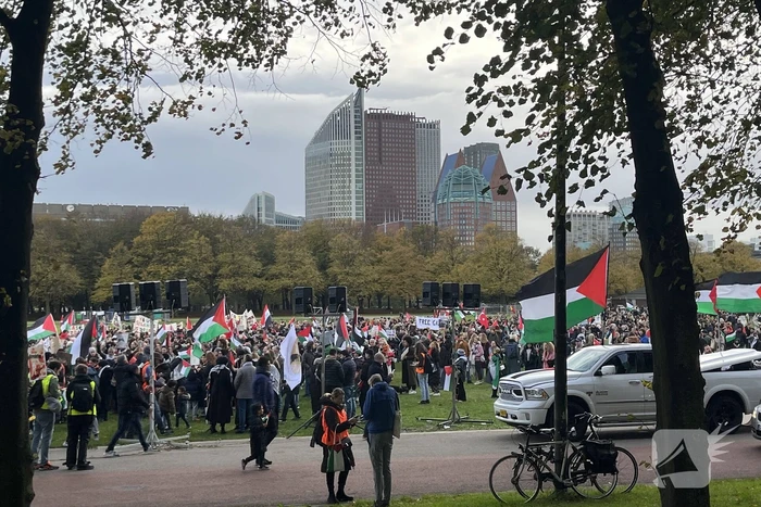 Grote opkomst pro-palestina demonstratie op het Malieveld