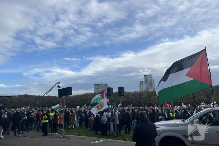 Grote opkomst pro-palestina demonstratie op het Malieveld