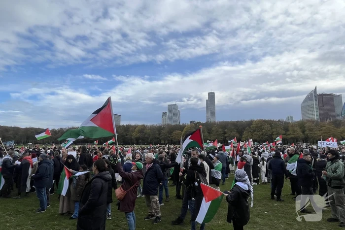 Grote opkomst pro-palestina demonstratie op het Malieveld