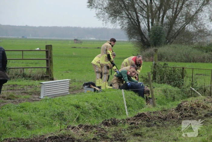 Brandweer en omstanders halen paard uit water