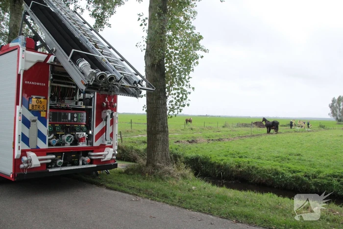 Brandweer en omstanders halen paard uit water