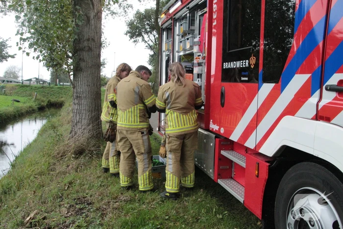 Brandweer en omstanders halen paard uit water